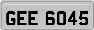 GEE6045