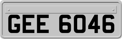 GEE6046