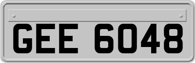 GEE6048