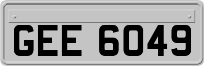 GEE6049