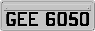 GEE6050