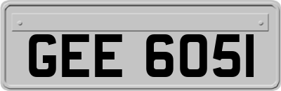 GEE6051