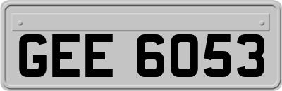 GEE6053