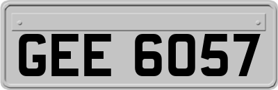 GEE6057