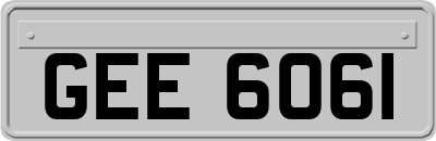 GEE6061