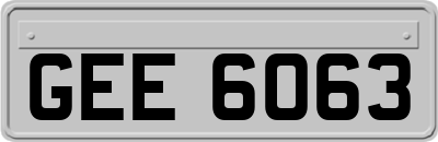 GEE6063