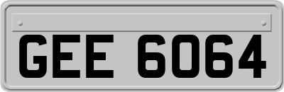 GEE6064