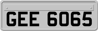 GEE6065