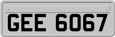 GEE6067
