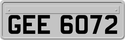 GEE6072