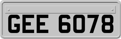 GEE6078