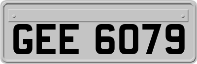 GEE6079