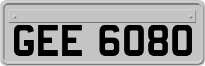 GEE6080