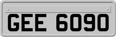 GEE6090