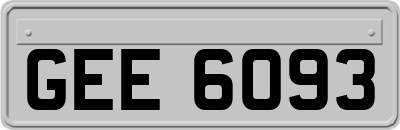 GEE6093