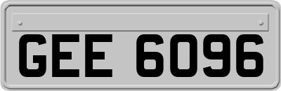 GEE6096