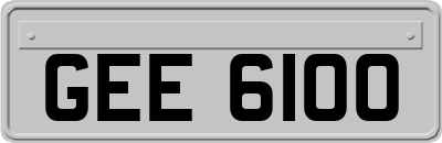 GEE6100