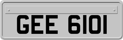 GEE6101