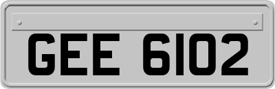 GEE6102