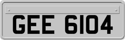 GEE6104
