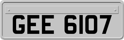 GEE6107