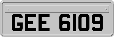 GEE6109