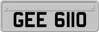 GEE6110