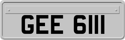 GEE6111