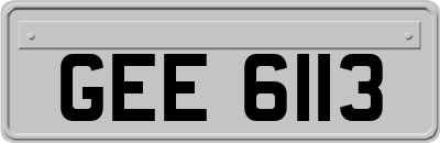 GEE6113