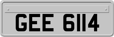 GEE6114