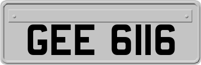 GEE6116