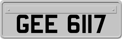 GEE6117