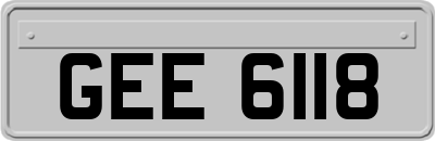 GEE6118