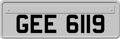 GEE6119