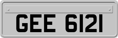 GEE6121