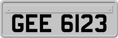 GEE6123