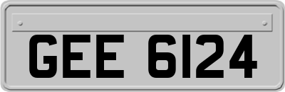 GEE6124
