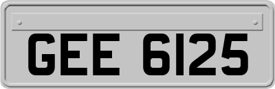 GEE6125