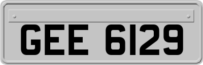 GEE6129