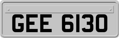 GEE6130