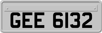 GEE6132