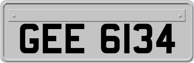 GEE6134