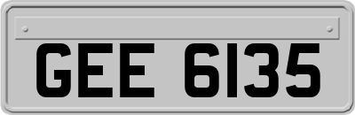 GEE6135