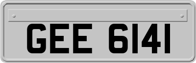 GEE6141