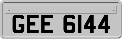 GEE6144