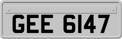 GEE6147