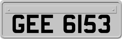 GEE6153
