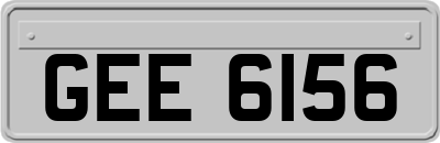 GEE6156