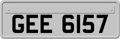 GEE6157