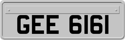GEE6161